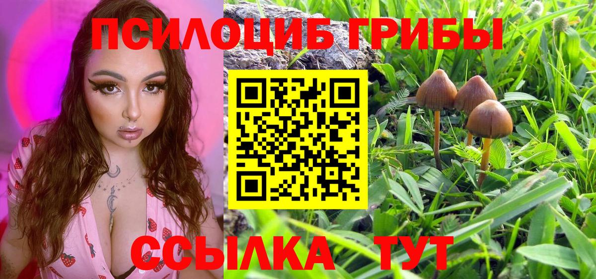 Псилоцибиновые грибы ЛСД Углич